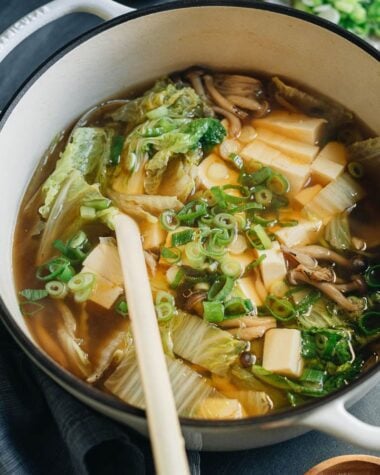Napa cabbage tofu soup close up